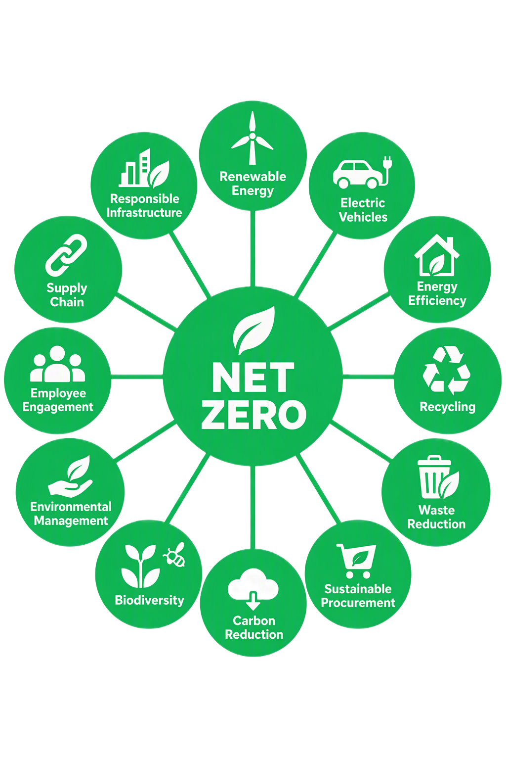 Net_Zero_Image2_Original